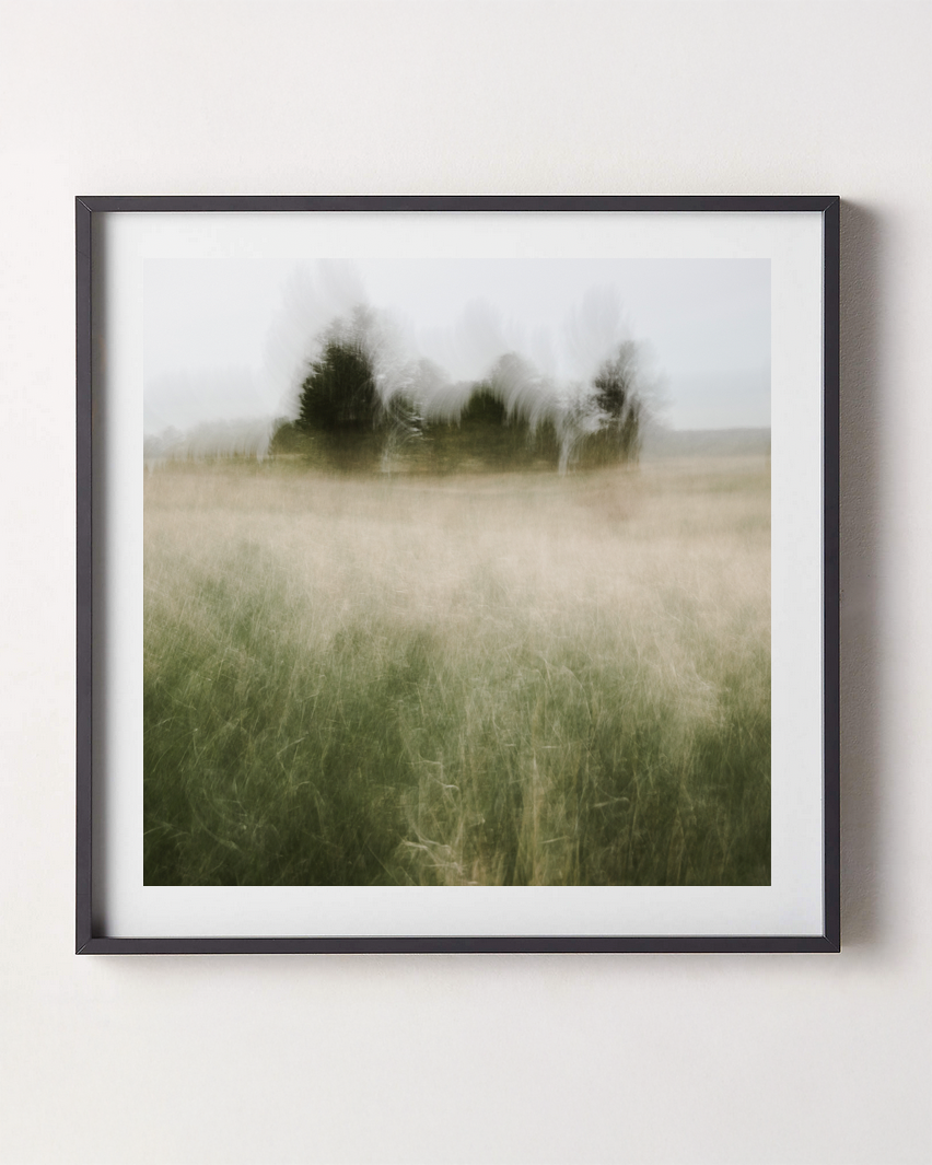 FIELD OF MEMORY | Limited Edition (of 25)