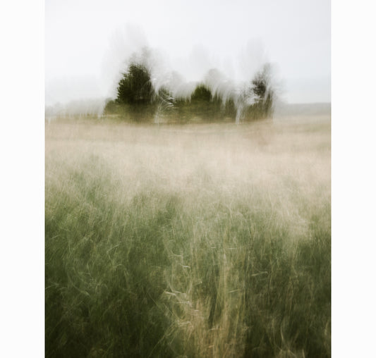 FIELD OF MEMORY | Limited Edition (of 25)