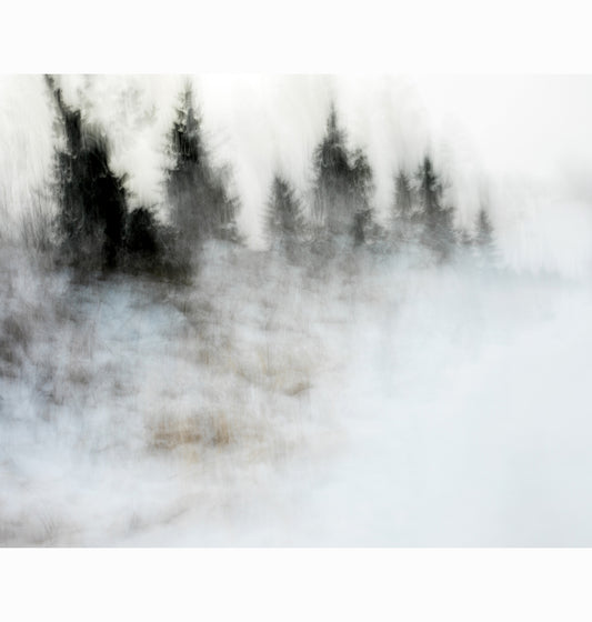 01.02.26 | Limited Edition (of 25)