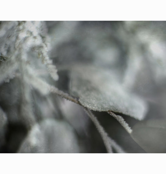 01.06.26 | Limited Edition (of 25)