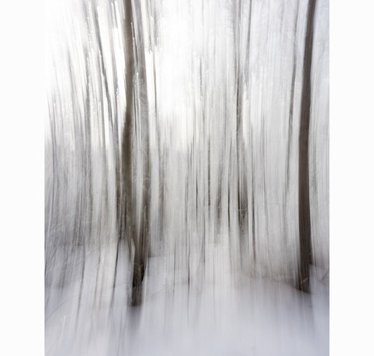 01.07.26 | Limited Edition (of 25)