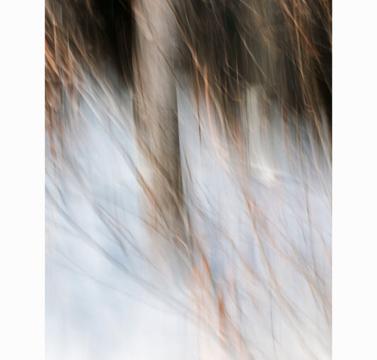 01.09.26 | Limited Edition (of 25)