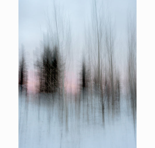 01.13.26 | Limited Edition (of 25)