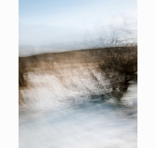 01.17.26 | Limited Edition (of 25)