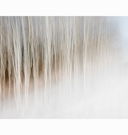 01.19.26 | Limited Edition (of 25)