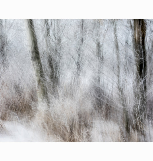 01.25.26 | Limited Edition (of 25)