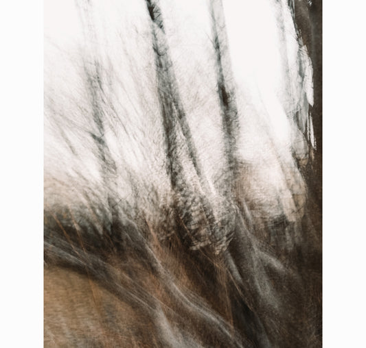 02.04.26 | Limited Edition (of 25)