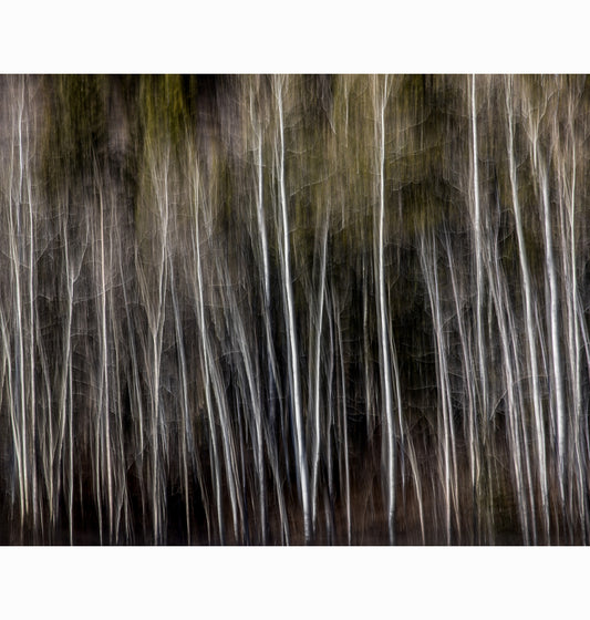 02.08.26 | Limited Edition (of 25)