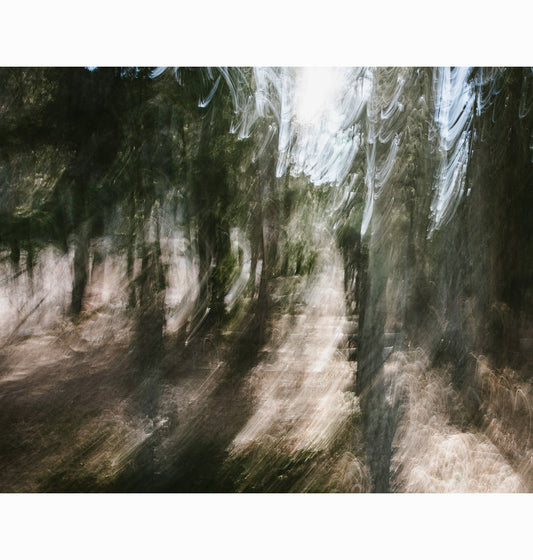 02.12.26 | Limited Edition (of 25)