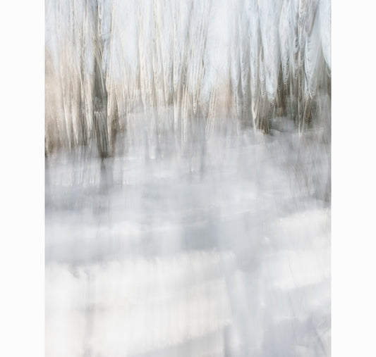 02.17.26 | Limited Edition (of 25)