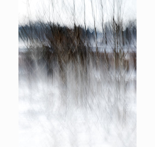 02.22.26 | Limited Edition (of 25)