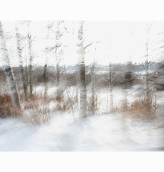 02.24.26 | Limited Edition (of 25)