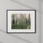 ASPEN GROVE I