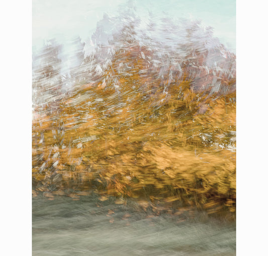 AUTUMN SHIVER | Limited Edition (of 25)