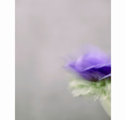 AWAITING | Limited Edition (of 25)