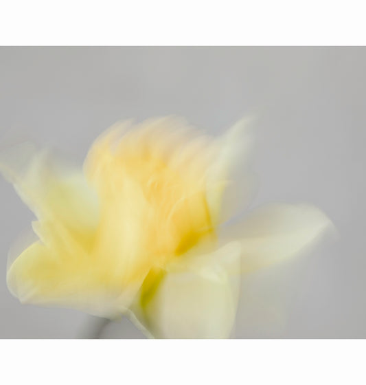 AWAKENING | Limited Edition (of 25)