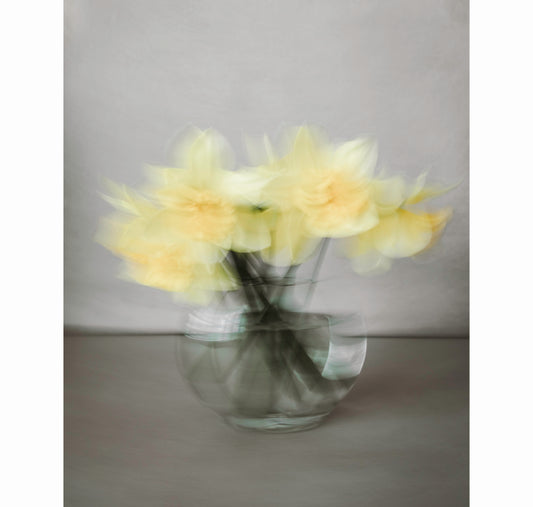 BECOMING AGAIN | Limited Edition (of 25)