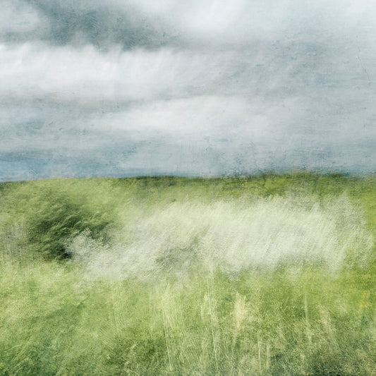 CLOUD OVER THE MEADOWS | Limited Edition (of 25)