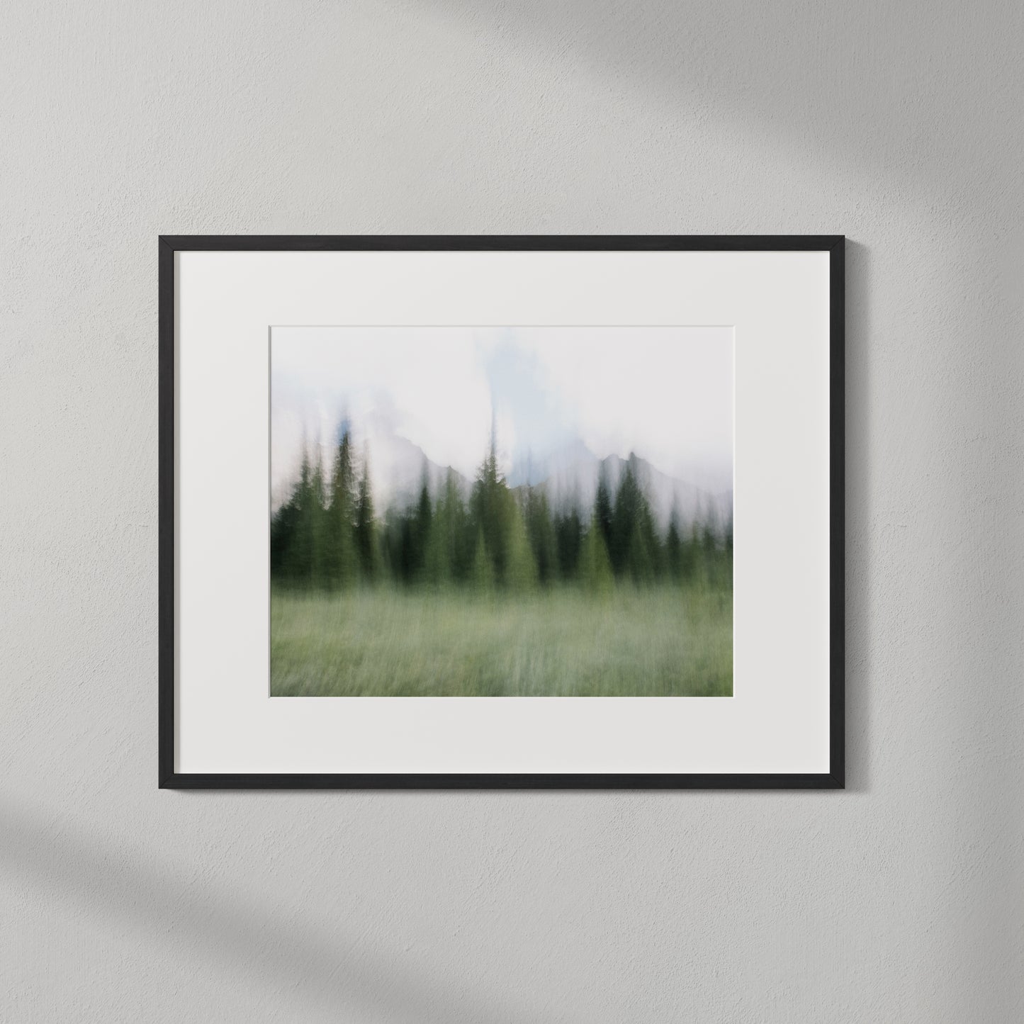 CONIFEROUS II