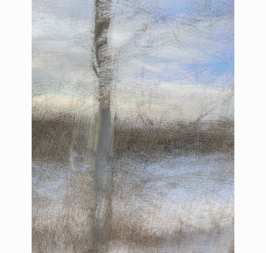 EARLY THAW I | Limited Edition (of 25)