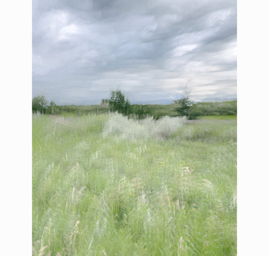 FIELD TO SKY | Limited Edition (of 25)