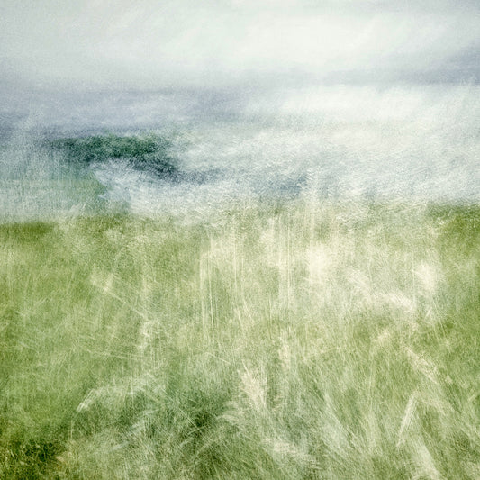 GATHERING AT THE MEADOWS | Limited Edition (of 25)