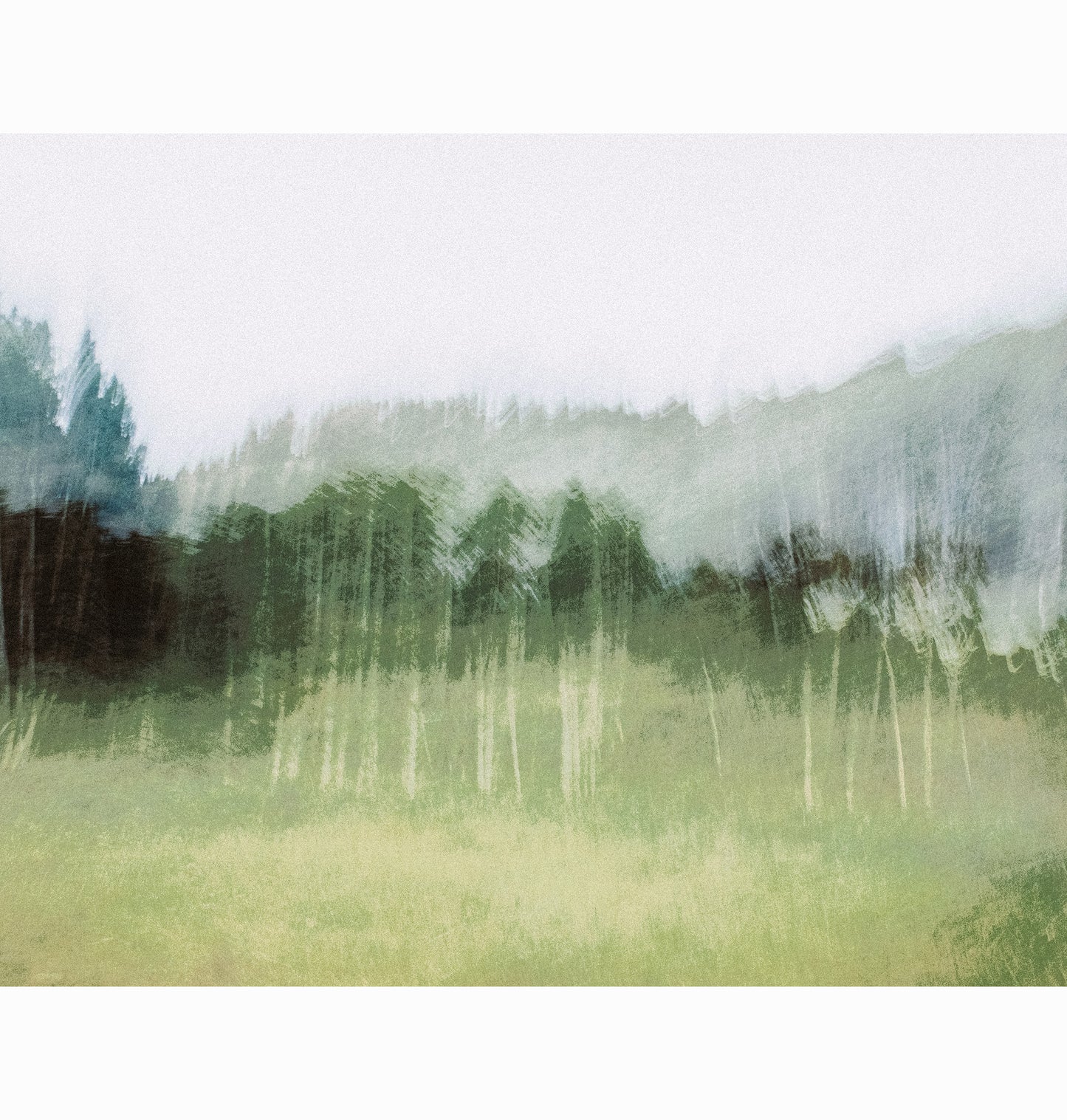 GENERATIONS | Limited Edition (of 25)