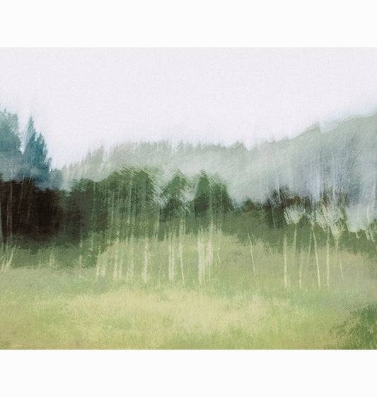 GENERATIONS | Limited Edition (of 25)