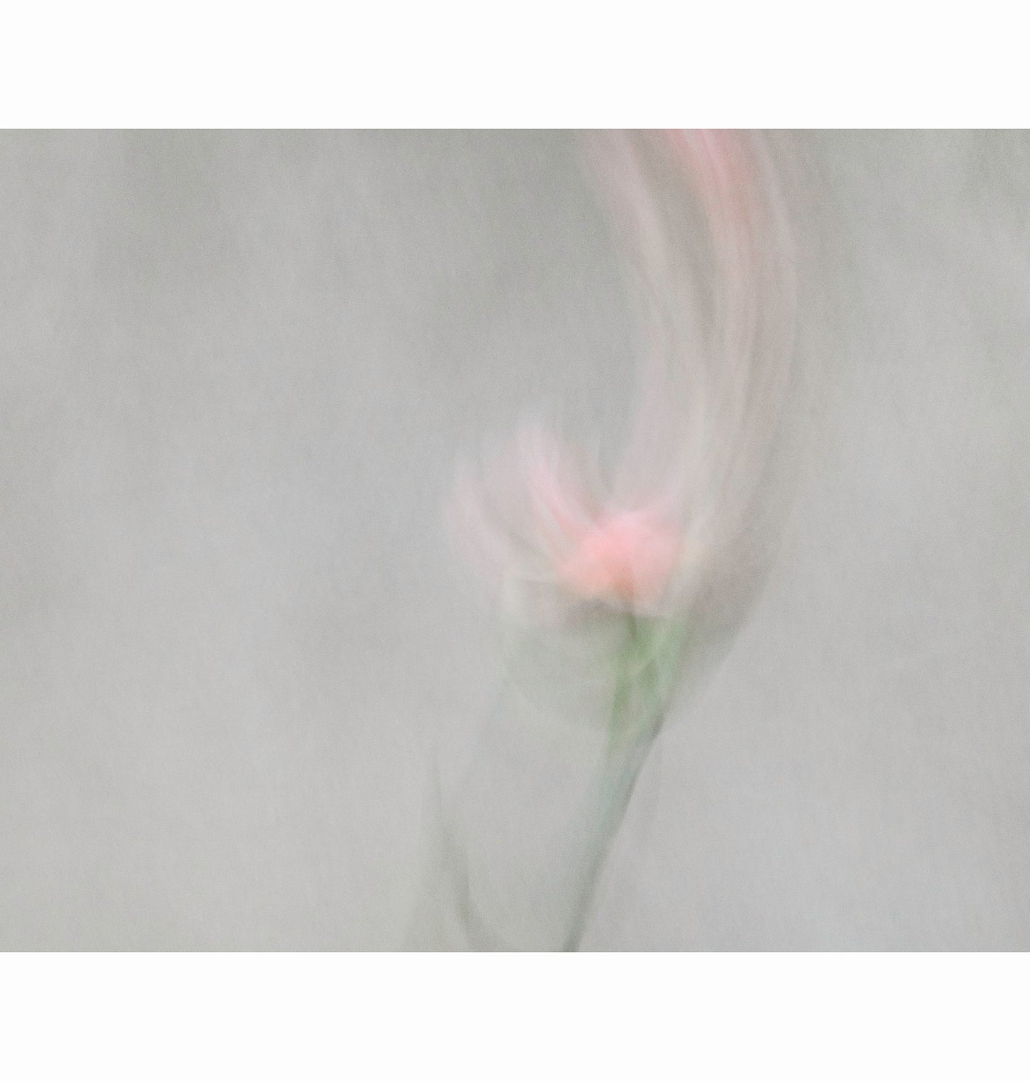 HELD MEMORY | Limited Edition (of 25)