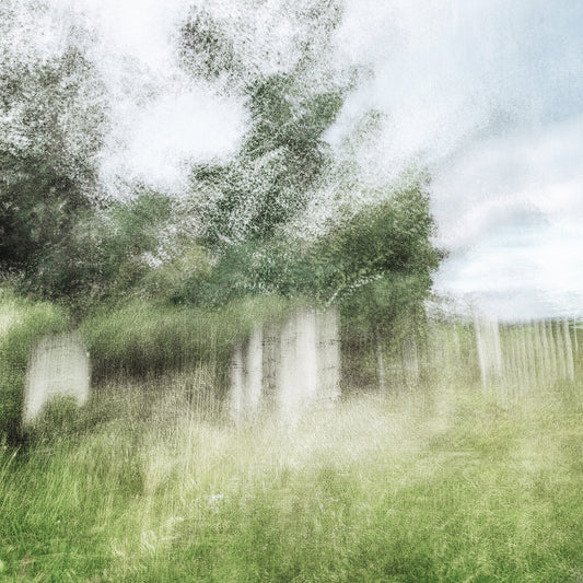 HELD IN GREEN | Limited Edition (of 25)