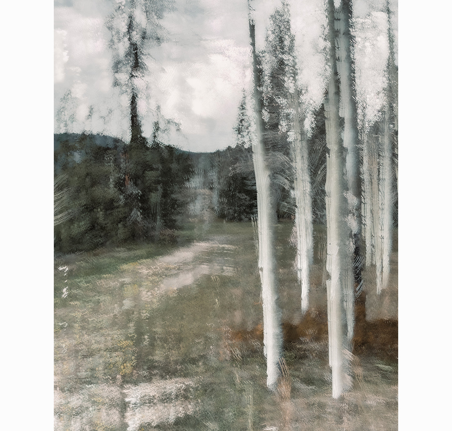 KINGS ASPENS | Limited Edition (of 25)