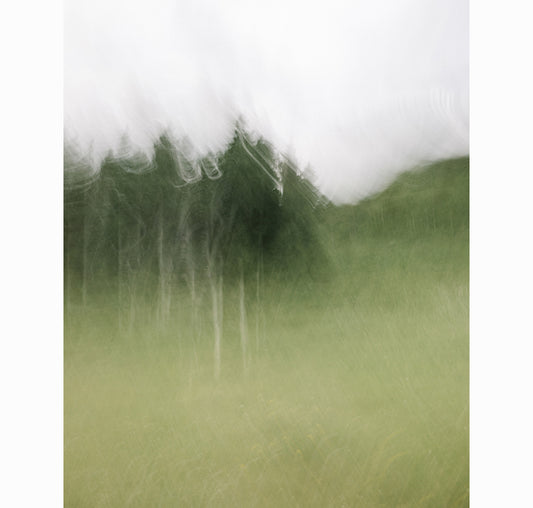 MEADOW ASPENS I | Limited Edition (of 25)