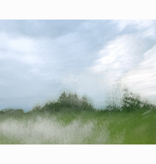 MEADOW'S BREATH | Limited Edition (of 25)