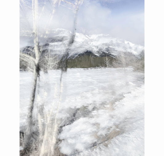 WINTER WALK II