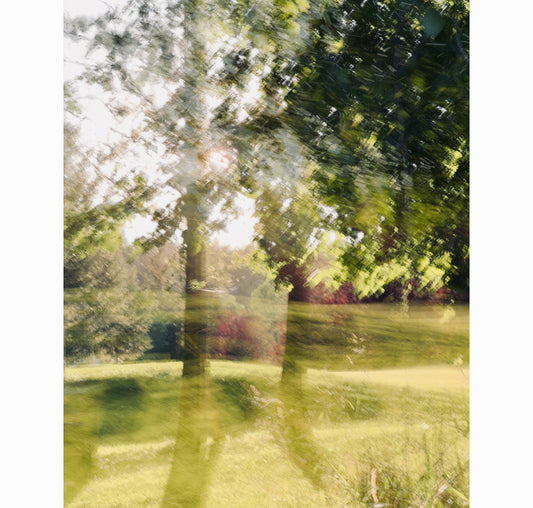 PASSING THROUGH | Limited Edition (of 25)