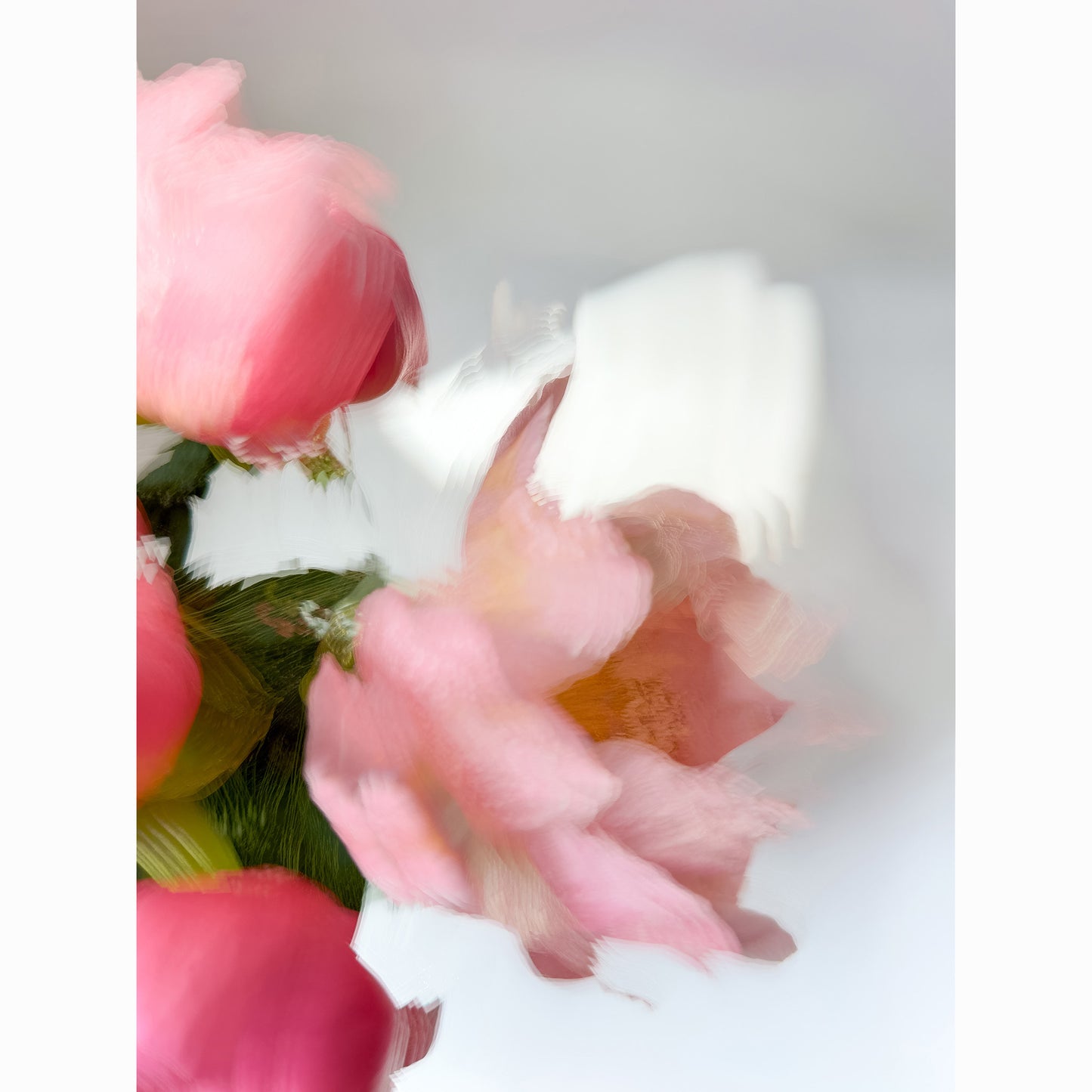 Peony I