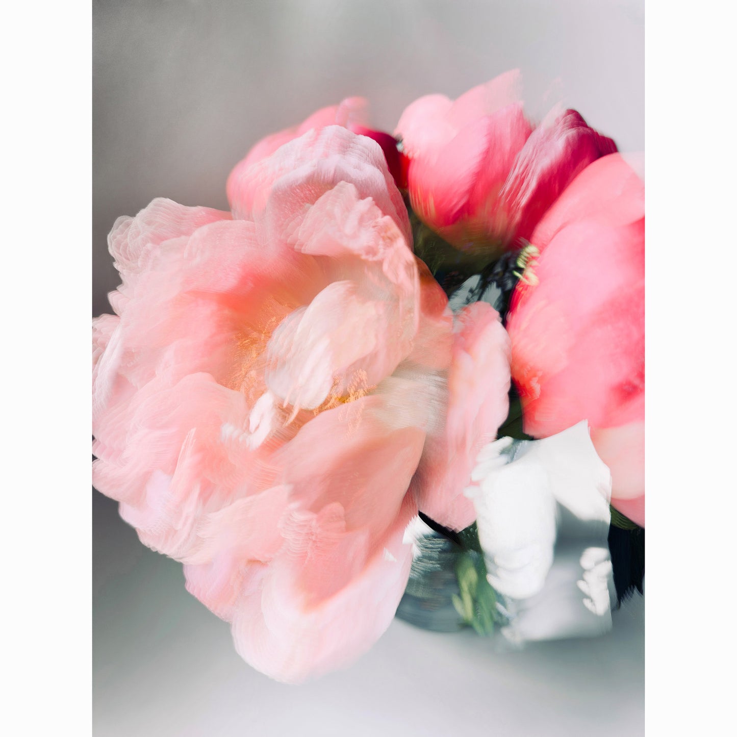 Peony III