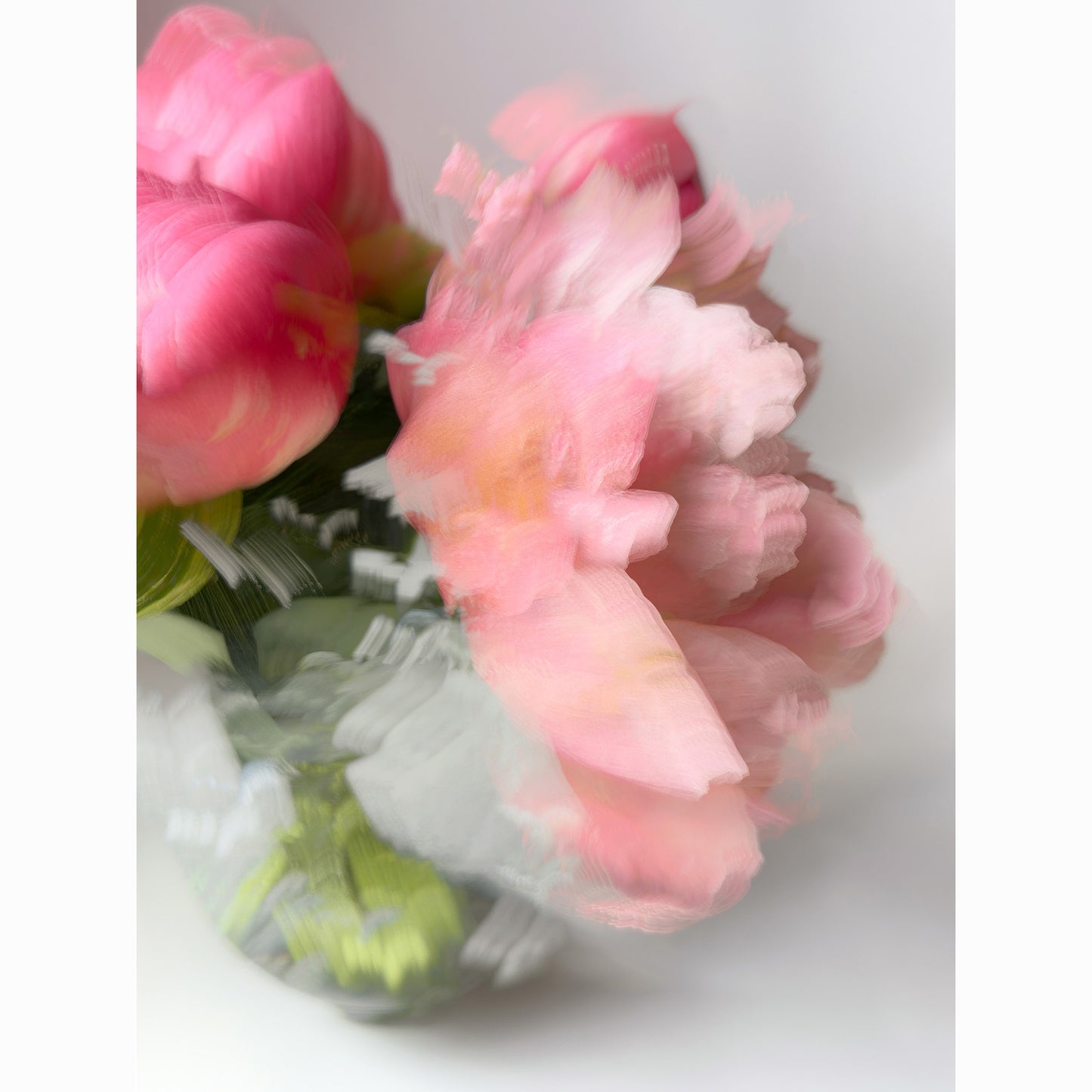 Peony V
