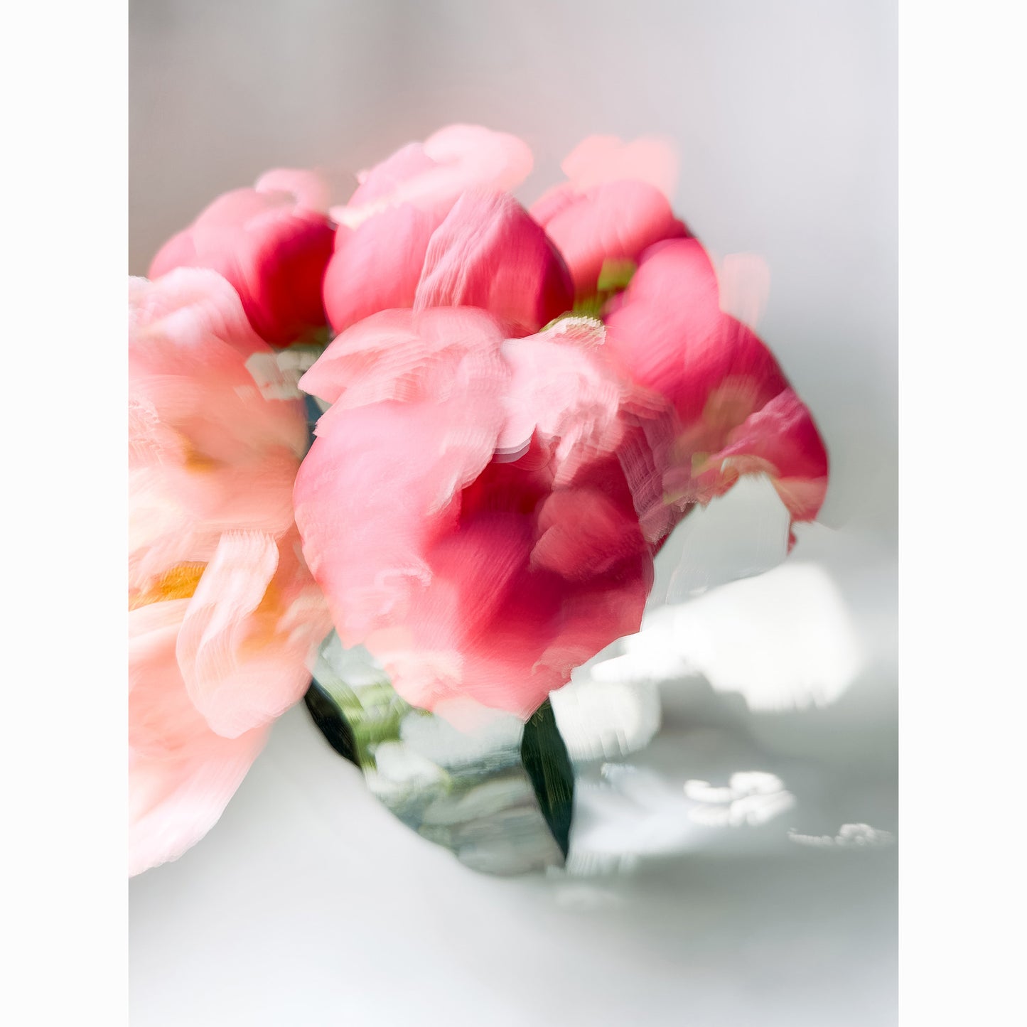 Peony VI