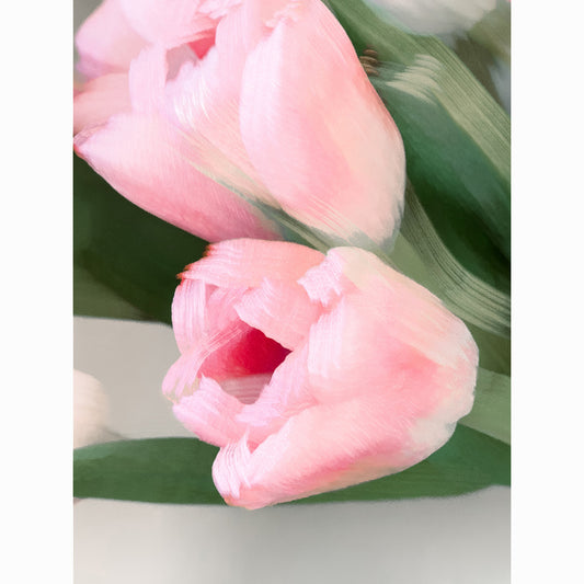 Pink Tulip VI