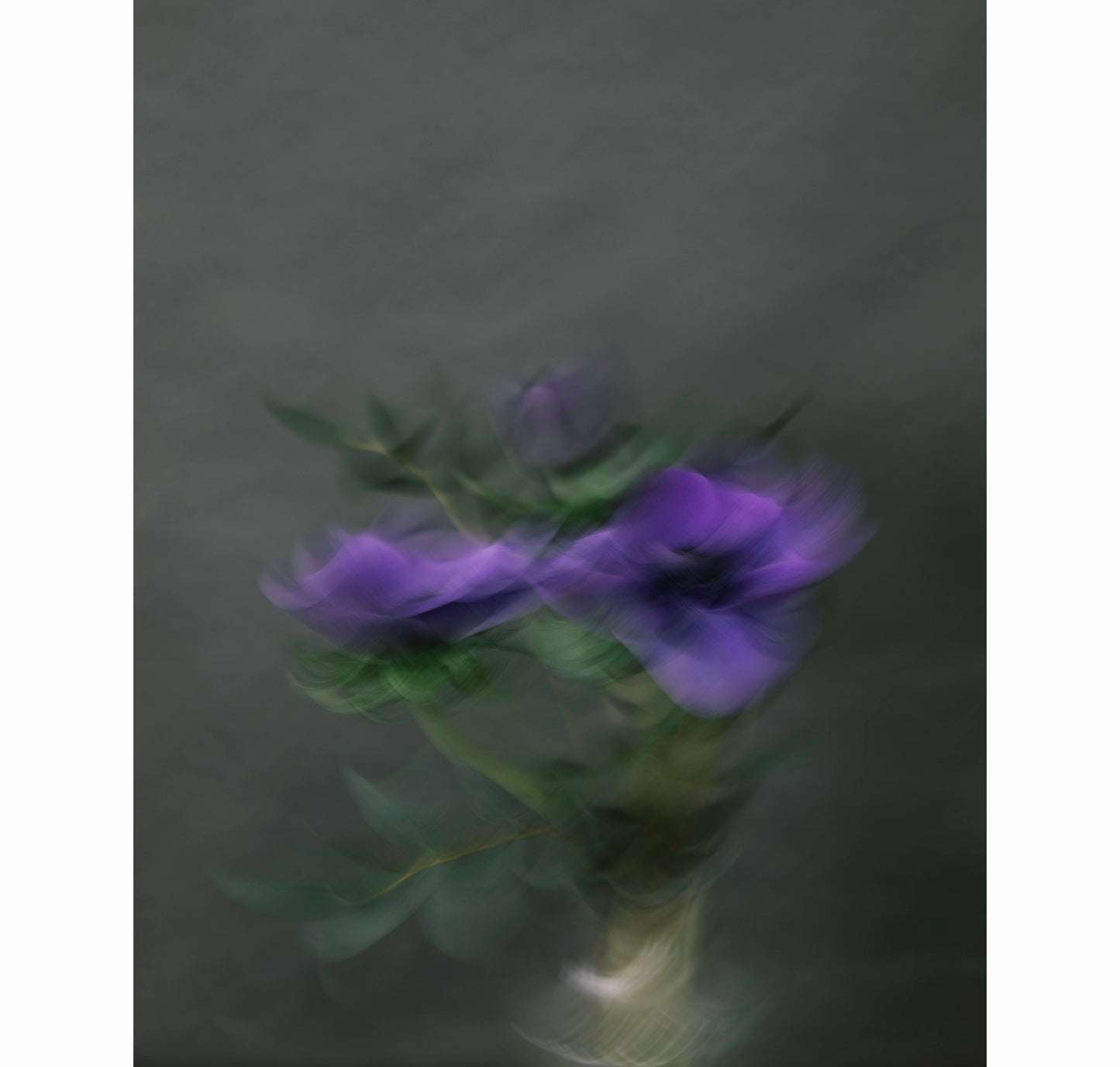 POISED | Limited Edition (of 25)