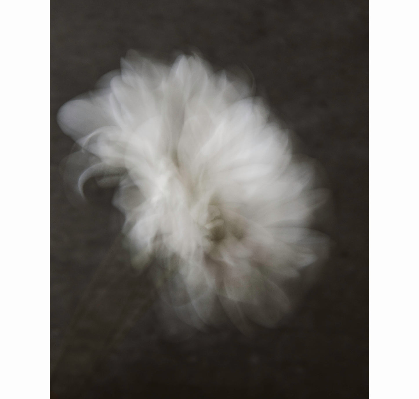 QUIET HOLDING | Limited Edition (of 25)