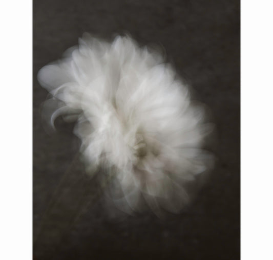 QUIET HOLDING | Limited Edition (of 25)