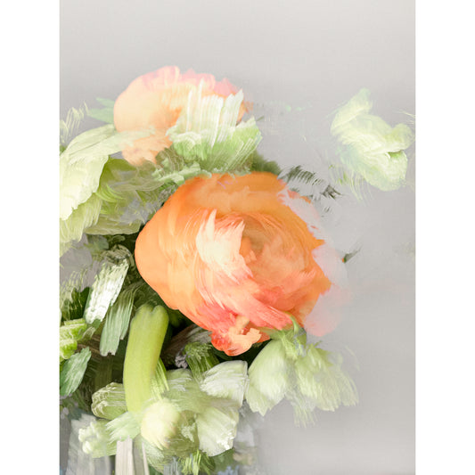 Ranunculus I