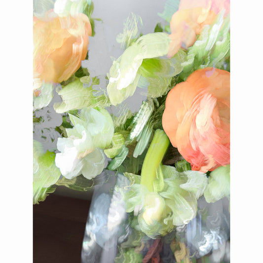 Ranunculus II
