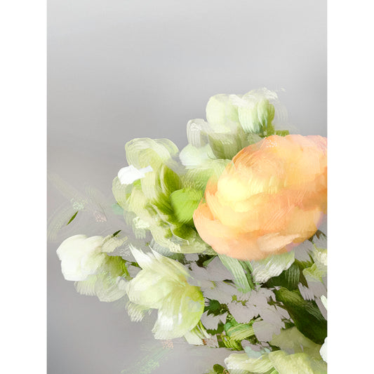 Ranunculus III