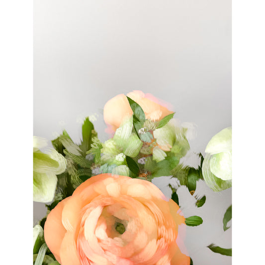 Ranunculus V