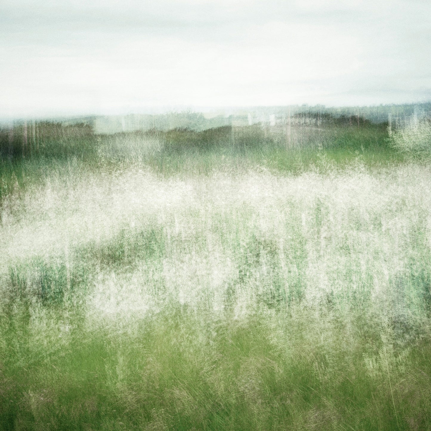 REACHING MEADOWS | Limited Edition (of 25)