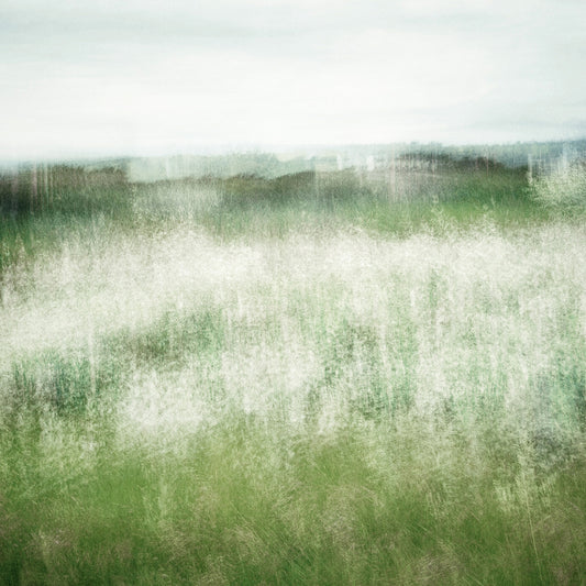 REACHING MEADOWS | Limited Edition (of 25)
