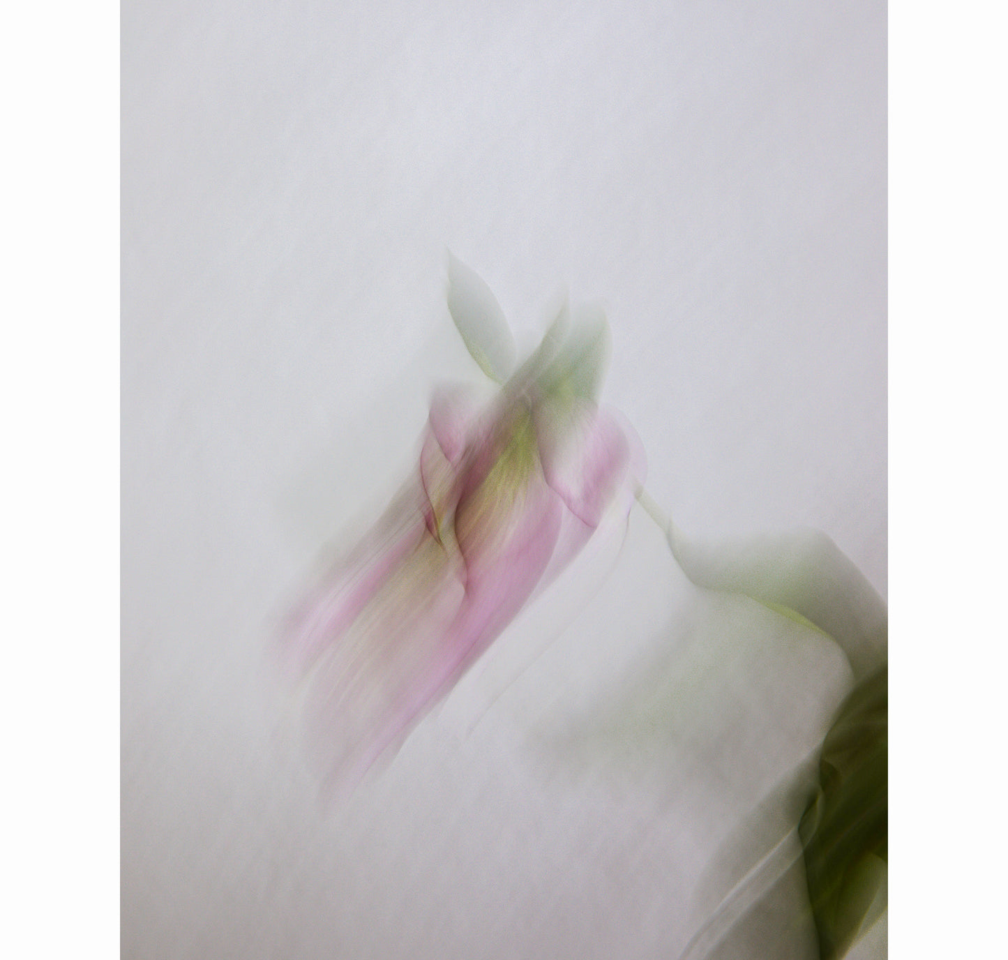 RELEASE | Limited Edition (of 25)